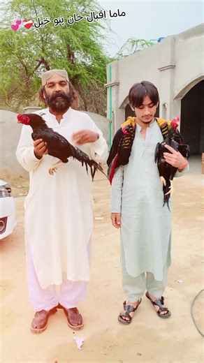 Banned Account Appeal & Recovery Guide