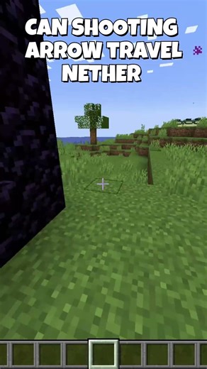 Can shooting arrow travel nether😯😯#minecraft #shorts