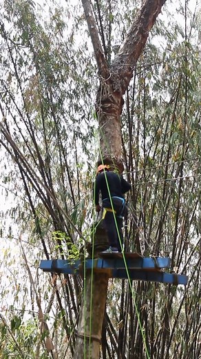 16 reactions | Rooted in the 4 core values of Outward Bound (OB) -...