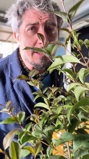 54K views · 316 reactions | Un normale behind the scenes dal set delle nuove pubblicità di Mediaset Infinity, con Max Angioni protagonista e me alla regia Solo emozioni Vere con Vera Film ✨ | Paolo Ruffini | Facebook