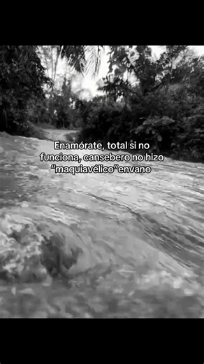 Videos de Claribel🤍 (@claribel_505) con “sonido original - Claribel🤍”