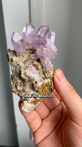 76K views · 2.3K reactions | The most expensive crystal specimens in our shop! #crystaldealer #crystalspecimens #veracruzamethyst #highqualitycrystals Buy and Sell Crystals & Gemstone | New9 Crystals | Facebook