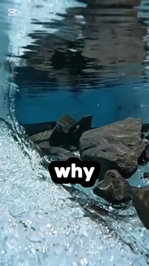 my math teacher got mad just cuz i write 67!!!!🤯🤯🤯#67 #video #trending #video #viral #viralvideo