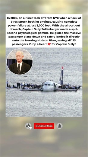 He landed a passenger plane on a frozen river... ✈️🌊 #aviation #hero #miracl