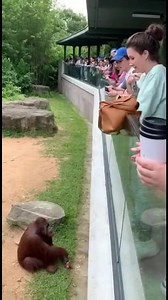 Orang-Utan und Make-up Ein Orang-Utan überrascht alle, indem er Lippenstift aus einer Tasche aufträgt! #fblifestyle #AI Generated using Kling AI . . . (Nur zu Unterhaltungszwecken. Wenden Sie sich an Fachleute, wenn Sie Anleitungen für Aktivitäten erhalten. Es wird keine Markenzugehörigkeit impliziert, falls welche gezeigt werden. Wenn sie von wahren Ereignissen inspiriert sind, können kreative Anpassungen enthalten sein. Der Inhalt kann öffentliches Filmmaterial enthalten.) | Fabiosa Deutschlan