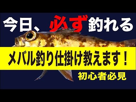 千葉県釣り【メバル初心者必見】今日、必ず釣れるメバル仕掛け徹底解説！キャスティング 木更津店スタッフさん総出でポンコツ君にレクチャー！悪条件でも釣れる仕掛けを紹介します！