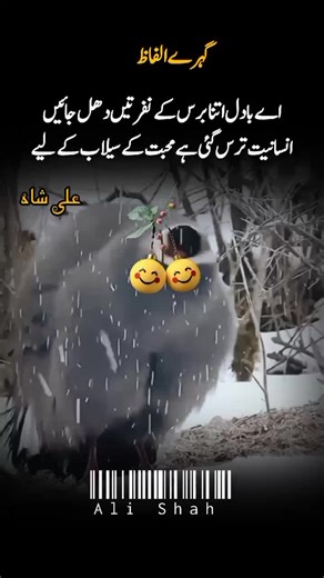 TikTok Creator Search Insights for Growth