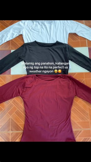 Stylish Long Sleeves Top for Chilly Weather