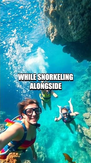 The Allure of the South Pacific Islands