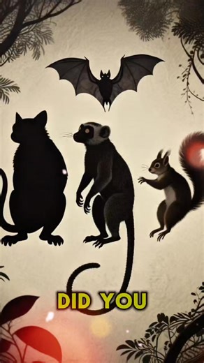 10 Unique Facts About the Sunda Colugo – The Real-Life Flying ‘Wingsuit’ Animal! | Vira Sahira | Facebook