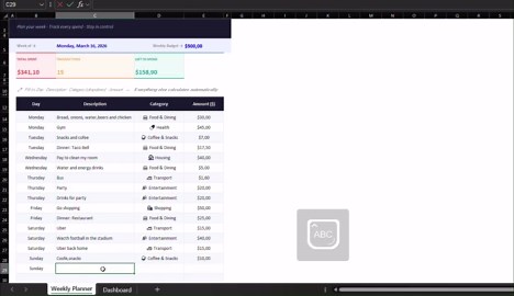 Weekly Budget Planner Excel Spreadsheet | Simple Budget Tracker | Instant Download - Etsy
