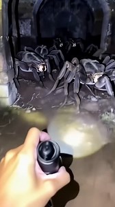 94K views · 1.3K reactions | Mutated Animal Found After Nuclear Fallout #nuclear #mutation #dark | Most Amazing ELITE | Facebook