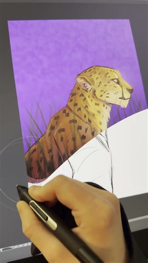 Drawing a Cheetah for International Cheetah Day