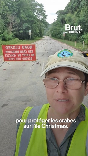 385K views · 1.7K reactions | Les images de ces millions de crabes rouges qui traversent les routes de l'île Christmas ont fait le tour du monde. Voici l'histoire derrière cette migration, et comment les habitants tentent de les protéger… 呂 | Brut | Facebook