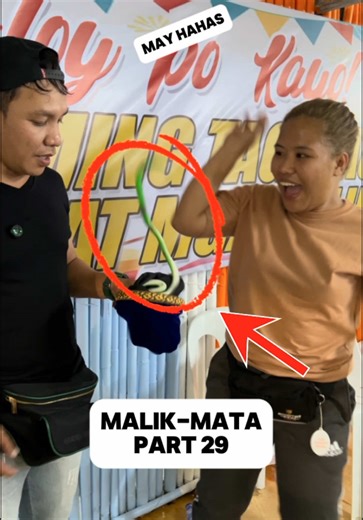 Mastering Magic: Stunning Tricks to Impress Anyone