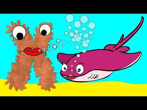 Learn the Alphabet Animals - Letter X - XYSTER