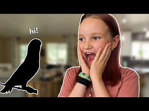 I Surprised My Daughter With a NEW PARROT! 🥹