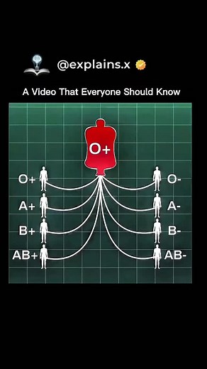 knowledge on Instagram: "There are 8 main blood types. A, B, AB, and O. Each one is either positive or negative.O negative is the universal donor. It can give blood to all types. It can only receive from O negative.AB positive is the universal recipient. It can receive blood from all types. It can only donate to AB positive.Quick guide• O negative donates to all types and receives from O negative only• O positive donates to all positive types and receives from O negative and O positive• A negati