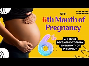 Sixth Month of Pregnancy - Baby Development | Baby development in 6th month of pregnancy