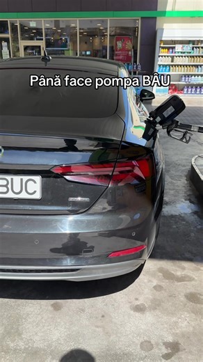 Plin de la Peco la Chitila