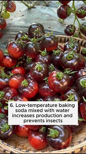 Six types of watering to help your vegetables thrive #gardeninggoals #gardeningistherapy #gardeningtips #gardeninglife #gardening_love #gardeninguk #gardening101 #gardeningtools #gardeningislife #gardeningtherapy #gardeningknowhow #gardeningseason #gardeningismytherapy #gardeningmakesmehappy #gardeningaustraliamag #gardeningday #gardeningideas #gardeningphoto | Gardening Ideas