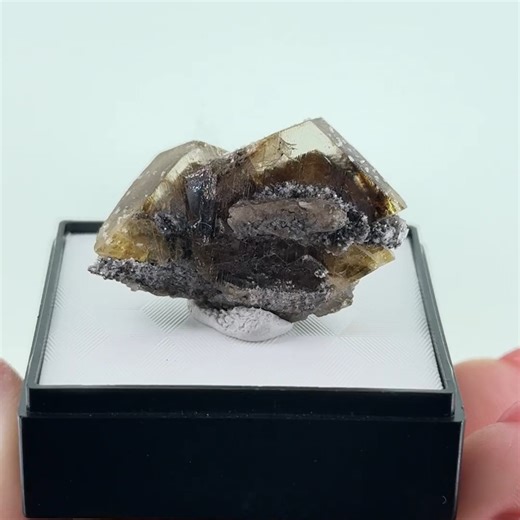 Anglesite - Tsumeb Mine, Tsumeb, Oshikoto Region, Namibia More info: https://www.irocks.com/minerals/specimen/52814 A fine pair of zoned Anglesite crystals from Tsumeb - very rare in such quality! A lead sulfate, the crystals are thick, 2.3 cm and 2 cm wide, respectively. The zoning here is quite well-defined, with each crystal having a dark, cinnamon-brown core. In particular, the 2 cm crystal is especially gemmy, showing just how sharp the interior zone is and just how clear the outer portion 