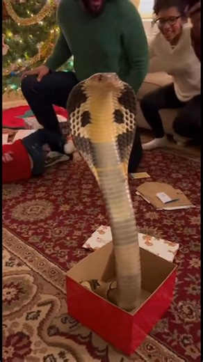 She opened the biggest surprise of her life! | Jack Vale