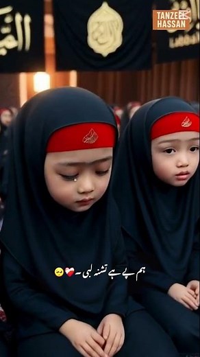 Mir Hassan Mir New Noha 2025 | hum ko pani na mily | Ya Hussain (AS)