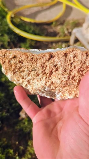 Banded Agate Slab: Raw Blue Chalcedony Botryodial Gemstone - Southern Idaho Lapidary Stone - Etsy