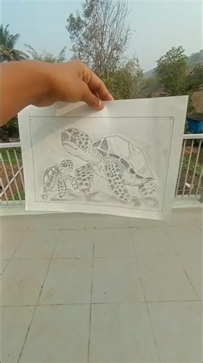 THE SEA TURTLE DRAWING COMPLETE 2026 2ND DRAWING #drawing #SHORT#VIRAL
