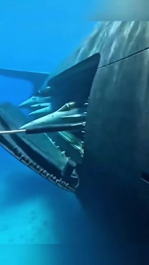 USA Air Force Fighter Jets at Airport - Best Clips