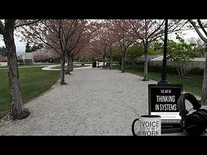 The Art of Thinking in Systems: A Crash Course in Logic & Critical Thinking, By: Steven Schuster