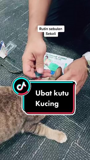 Frontline Plus for Cats: Ultimate Flea Control Solution