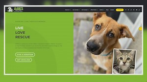 AARCS shares stories of animals patiently waiting for their new families