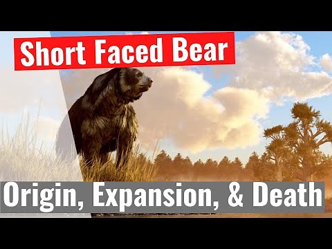 Short Faced Bear | Tragic Rise & Fall of North America's Largest Bear