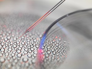 Stem Cell Clinics Are Ruining People's Lives
