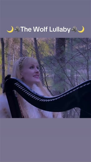 🌙🐺The Wolf Lullaby🐺🌙 Original song! Thank you for 300,000 views on our official music video! #wolf #wolfsong #wolflullaby #harptwins #electricharp #wolves #lullaby #nordic #norse #harp #relaxing #calm #calming