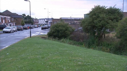 Teen Walking In Woods Gang-Raped