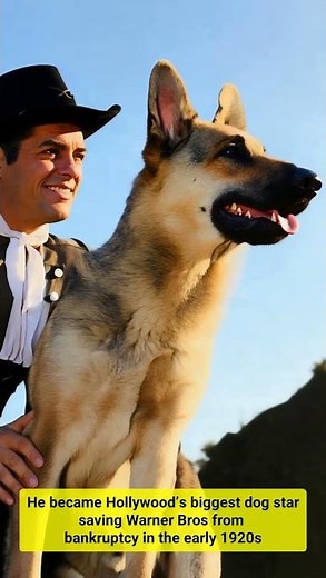 The Rescue Dog Who Became a Hollywood Star, Restored with AI