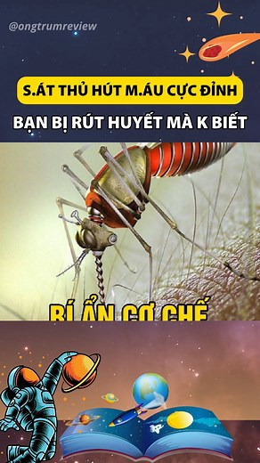 15K views · 122 reactions | Review Khoa học, bí ẩn và cuộc sống #review #reviewphim | Ông Trùm Review | Facebook