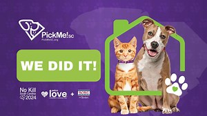 PICK ME! SC: SOUTH CAROLINA’S STATEWIDE ADOPTION EVENT REACHES 10,000 ADOPTIONS OVER ITS HISTORY! Adoption campaign is the largest of its kind in the U.S. Pick Me! SC reached a benchmark with adoption #10,0000 during its 2023 effort. "This is our sixth statewide adoption campaign and cumulatively, we have now adopted 10,000 animals across South Carolina," Chief Project Officer of No Kill South Carolina 2024, Abigail Appleton, PMP, CAWA. "To reach this milestone is a testament to the teamwork tha
