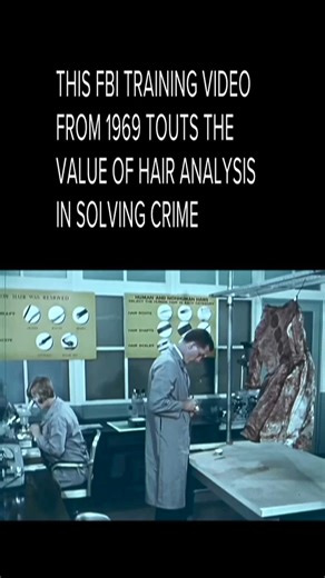 Hair evidence conviction upheld in murder case