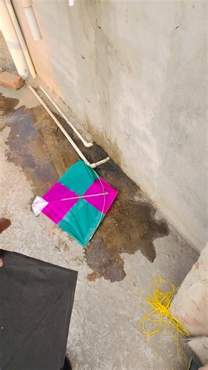 Aaj to bhut saari patang 🪁 loot li chaat per #shorts#viral#vlogs#patang#kites#shortsviral