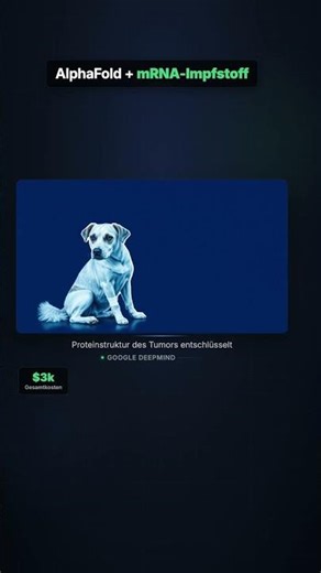 Mann rettet Hund vor Krebs – mit ChatGPT und 3.000 Dollar