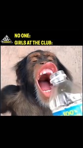 Who did this?! 😩😆🤣 | All Def Comedy