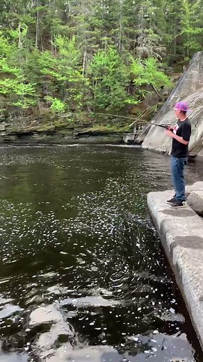 Catching striped bass. #fishing #bassfishing