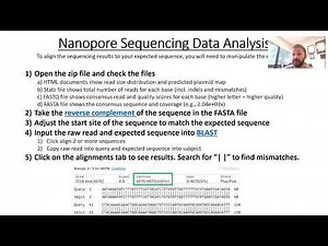 Nanopore sequencing - sample prep and analysis