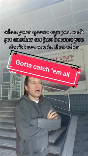 Choosing the Purrfect Color Cat for Your Home: What's Your Favorite?