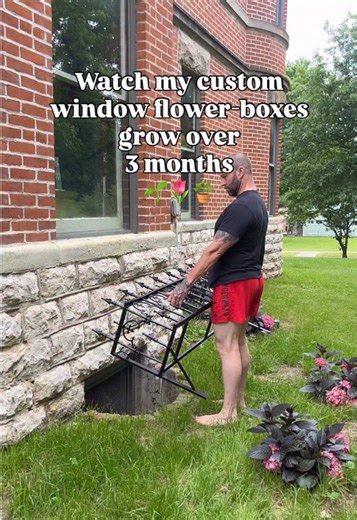 Growing Custom Window Flower Boxes: A 3-Month Journey