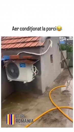 9.2K views · 70 reactions | #trend #fyp video: tribulus_ab pe instagram | Glume de la A la Z | Facebook